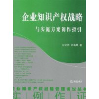 企业知识产权战略与实施方案制作指引