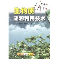 生物质能源利用技术