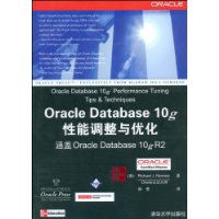 Oracle Database 10g性能调整与优化