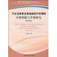 不正当竞争及其他知识产权侵权专题判解与学理研究（第2分册）