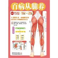 百病从腿养