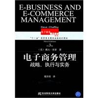 电子商务管理：战略、执行与实务（第3版）