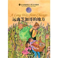 远离芝加哥的地方