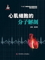 心肌细胞的分子解剖