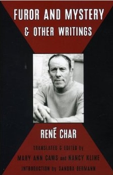 Furor & Mystery and Other Writings (English and French Edition)