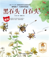 黑石头 白石头（诚实）•影响孩子一生的哲学阅读