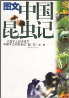 图文中国昆虫记