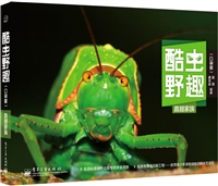 酷虫野趣（口袋版） 直翅家族（全彩）
