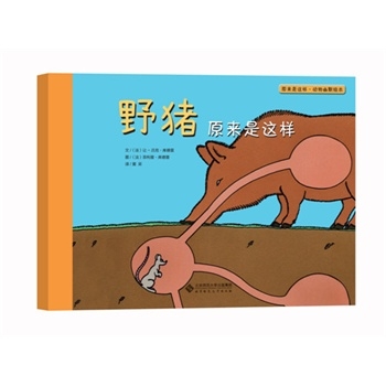 野猪原来是这样