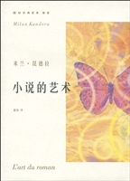 小说的艺术