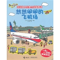 热热闹闹的飞机场