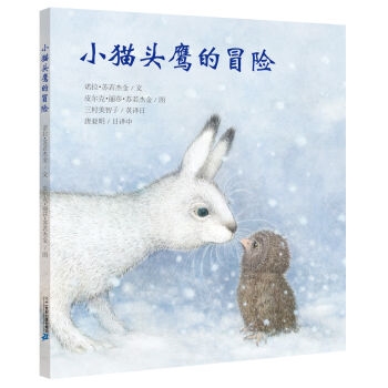 小猫头鹰的冒险（精装）