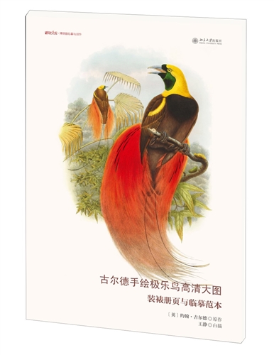 古尔德手绘极乐鸟高清大图：装裱册页与临摹范本