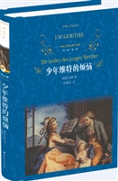 少年维特的烦恼