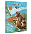袁博动物小说——内伶仃岛上的猕猴