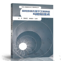 国内外重大地下工程事故与修复技术（第二版）