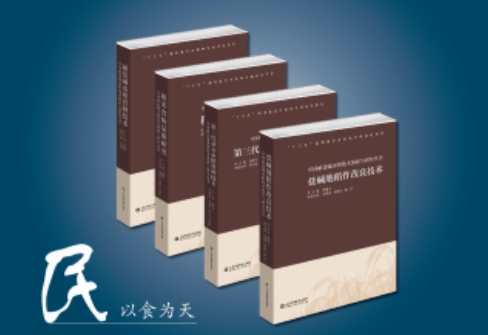 中国耐盐碱水稻技术创新与研究丛书（全4册）