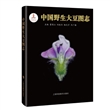中国野生大豆图志