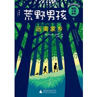 荒野男孩探险小说系列1：远离家乡