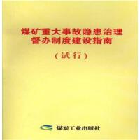 煤矿重大亊故隐患治理督办制度建设指南（试行）