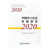 中国中小企业发展报告2020