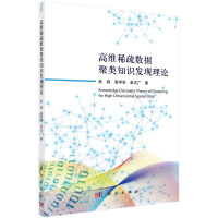 高维稀疏数据聚类知识发现理论