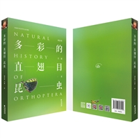 多彩的直翅目昆虫