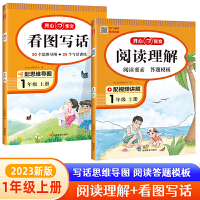 2023开心看图写话+阅读理解（共2册）1年级上册幼小衔接 人教版思维导图写话训练阅读理解专项训练 三段式解答方法 开心教育