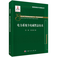 电力系统全电磁暂态仿真  汤涌 刘文焯著