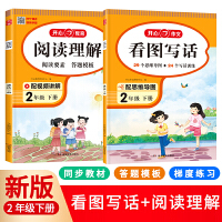 2023开心看图写话+阅读理解（共2册）2年级下册幼小衔接 人教版思维导图写话训练阅读理解专项训练 三段式解答方法 开心教育