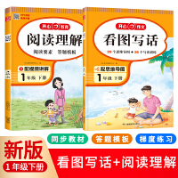 2023开心看图写话+阅读理解（共2册）1年级下册幼小衔接 人教版思维导图写话训练阅读理解专项训练 三段式解答方法 开心教育