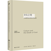 文化之用:从启蒙运动到反恐战争（思想如何回应时代问题）
