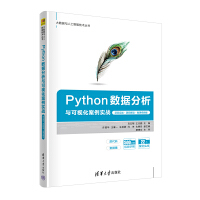 Python数据分析与可视化案例实战（项目实战·源码解读·微课视频版）