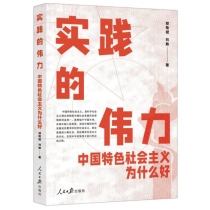 实践的伟力：中国特色社会主义为什么好