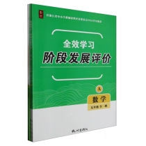 数学(9年级全1册共2册)/全效学习阶段发展评价