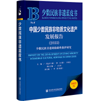 少数民族非遗蓝皮书：中国少数民族非物质文化遗产发展报告（2022）少数民族非遗的抢救性保护研究