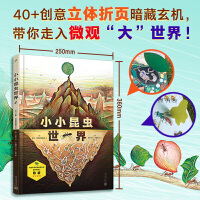 小小昆虫世界