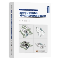 效率与公平视角的城市公共空间格局及其评价