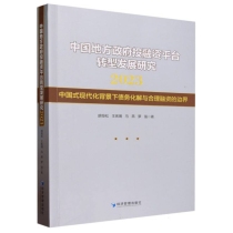 中国地方政府投融资平台转型发展研究2023