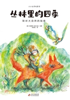 丛林里的四季：聆听大自然的指南