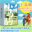 小马驹丛书（唐明高原儿童文学系列作品集）