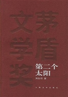 第二个太阳