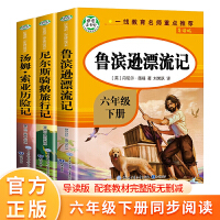 快乐读书吧六年级下册全3册 汤姆索亚历险记尼尔斯骑鹅旅行记鲁滨孙漂流记经典书目小学生课外阅读文学故事书