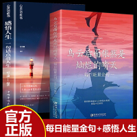 全2册 乌云后面依然是灿烂的晴天每天能量金句+感悟人生 : 一句话点亮人生 能量励志经典语录书籍