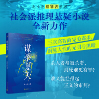 谋杀夏天（金牌编剧赵小赵社会派推理小说力作！三次复仇的完美谋杀，洞见人性的光明与黑暗！）