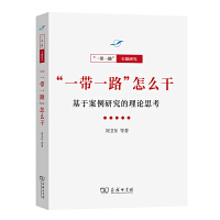 “一带一路”怎么干——基于案例研究的理论思考(“一带一路”·专题研究系列)