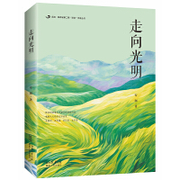 后浪 • 陕西省第二期“百优”作家丛书：走向光明