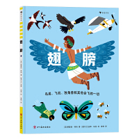 翅膀（昆虫、蝴蝶、鸟类、直升机、滑翔机等19个精彩主题，带你探索与翅膀有关的一切）