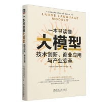 一本书读懂大模型：技术创新、商业应用与产业变革