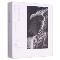 和光静影•云冈石窟造像——大画幅黑白胶片摄影